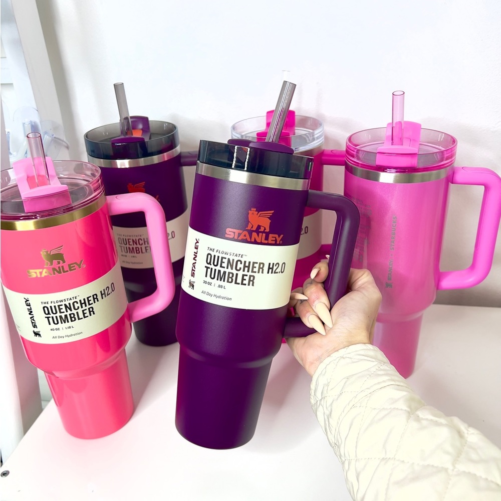 UNRELEASED Stanley PLUM 30oz TUMBLER NWT